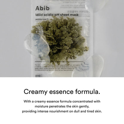 Abib - Mild acidic pH sheet mask (Jericho rose fit)