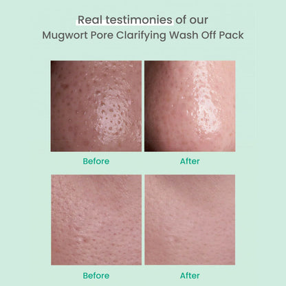 AXIS - Y - Mugwort Pore Clarifying Wash Off Pack