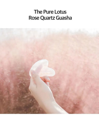 THE PURE LOTUS - Rose Quartz Guasha